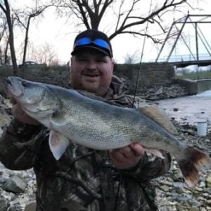 Hooking More Flatheads - Catfish & Sturgeon - Catfish & Sturgeon