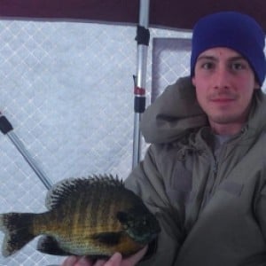 Spikes Vs Waxies - Which Are Better For Ice Fishing? 