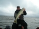 Profile picture of wheels2
