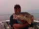 Profile picture of live2fishmillelacs