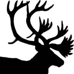 Profile picture of CaribouFishing