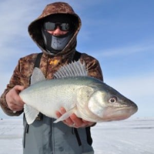 Striker ice sizing - Ice Fishing Forum - Ice Fishing Forum