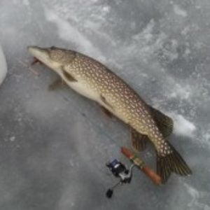 Reel tape or reel bands - Ice Fishing Forum - Ice Fishing Forum