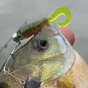 White creature baits - Smallmouth & Largemouth Bass - Smallmouth & Largemouth  Bass