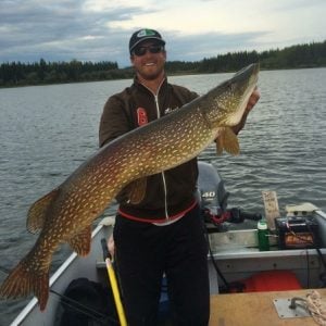 Underwater Walleye trolling strikes video - Walleye & Sauger - Walleye &  Sauger