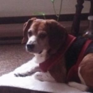 Profile picture of willy01
