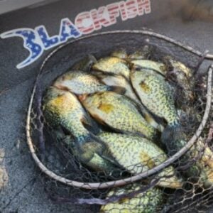 Favorite Panfish and Walleye Ice Lines - Ice Fishing Forum - Ice Fishing  Forum