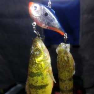 Light For Hub Shack - Ice Fishing Forum - Ice Fishing Forum