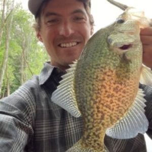 Berkley gulp 1 minnow vs. live minnow for crappies - Ice Fishing Forum -  Ice Fishing Forum