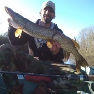 Berkley gulp 1 minnow vs. live minnow for crappies - Ice Fishing