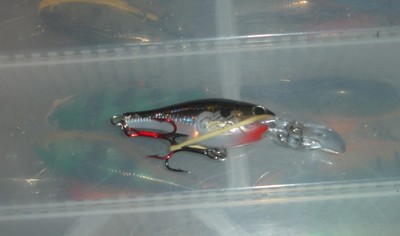 1262552046_fishingpics006.jpg