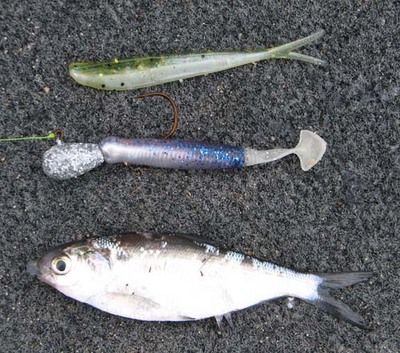 Post spawn jerk bait walleyes, Northwest Iowa Outdoors