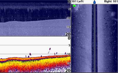 Humminbird Side Imaging and walleye presentation - Humminbird