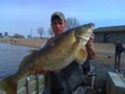 Mn state record walleye caught - General Discussion Forum
