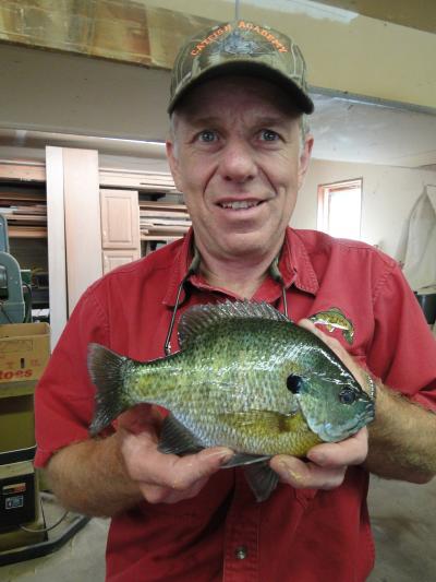 New PB Bluegill - Bluegills, Crappies, Perch & Whitebass - Bluegills,  Crappies, Perch & Whitebass