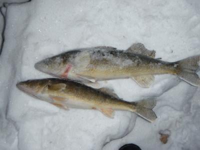 Cold front high pressure walleyes - Ice Fishing Forum - Ice Fishing Forum