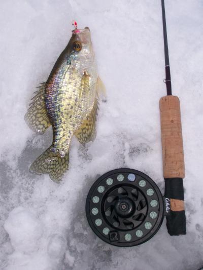 Fly reel advantages? - Ice Fishing Forum - Ice Fishing Forum