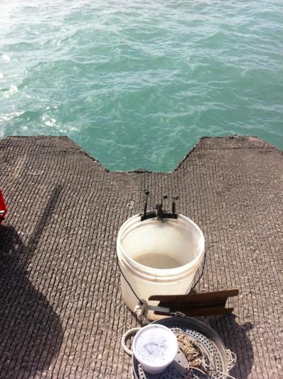 Pier fishing on Lake Michigan - General Discussion Forum - General  Discussion Forum