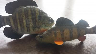 Custom MN ice spearing decoys. - Ice Fishing Forum - Ice Fishing Forum