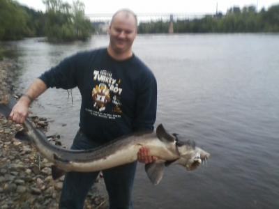 Sturgeon Rod - Catfish & Sturgeon - Catfish & Sturgeon