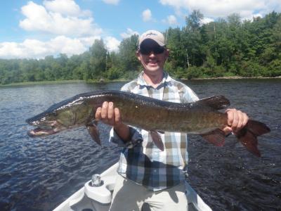 Musky net advice - General Discussion Forum - General Discussion