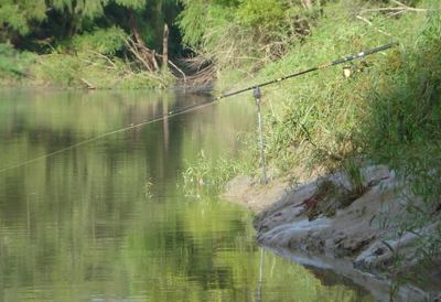 Alligator Gar Report ~ Trinity River TX - Fishing Reports