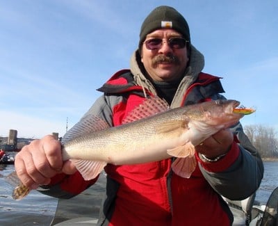 Mississippi River Pool 4 – More Saugers/Walleyes - Fishing Reports