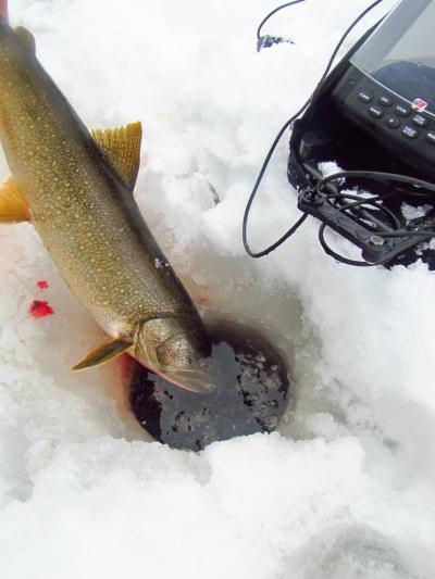 Ice fishing for trout comes to a close March 31 for lakes in and around the  BWCA