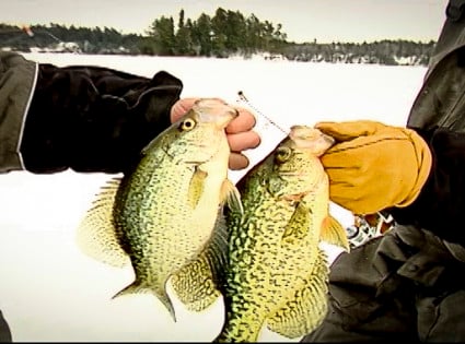 Episode 2 Crappie Master Custom Thumbnail