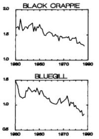 Decline in Panfish Size over 58 Years - Park Rapids, MN