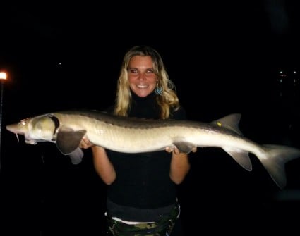 Not Nicole Michel's largest Lake Sturgeon, but her first one tagged. 45 inches of dancing lessons. 