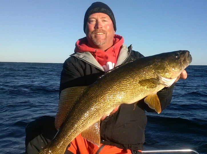 Green Bay Walleyes on the CHEW!!! Fishing Reports In