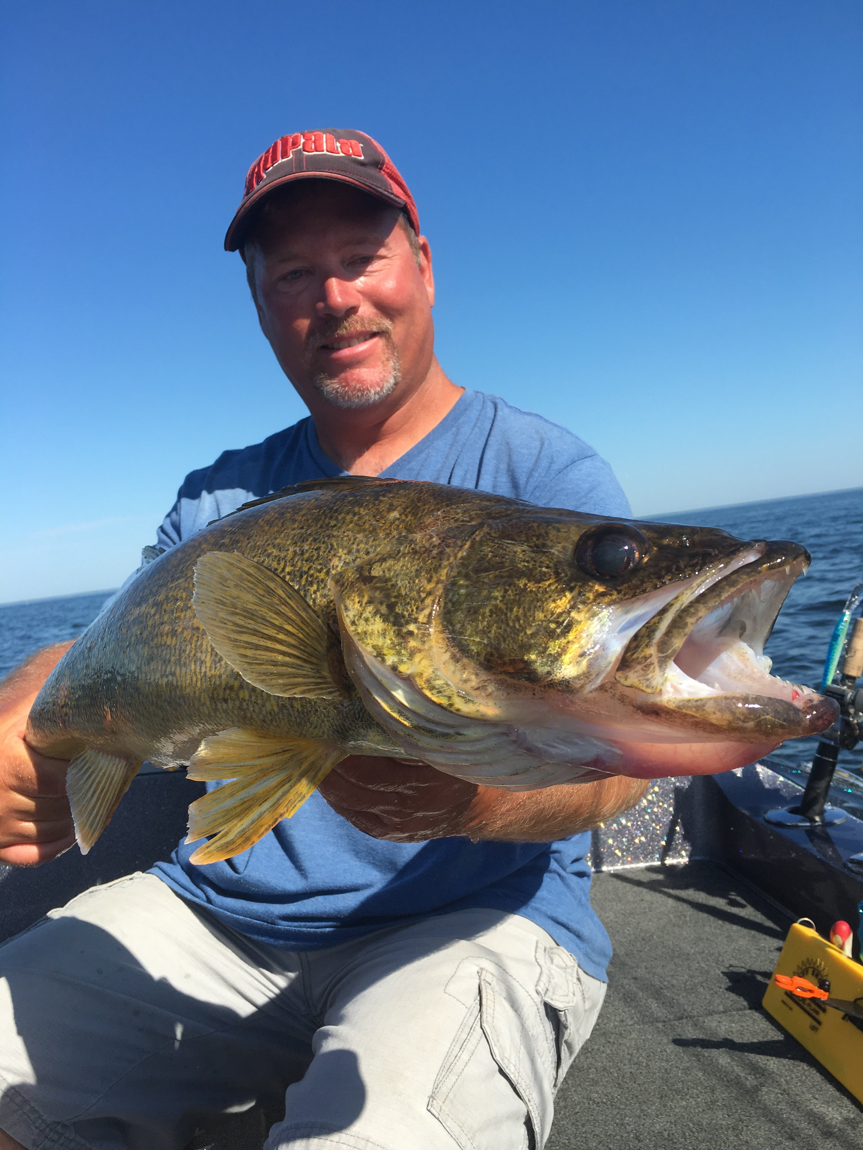 Door County And Green Bay Walleye Fishing Fishing
