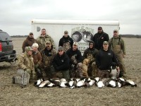 A limit, 24 big geese