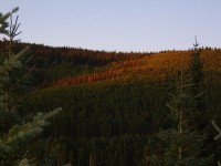 Setting sun in the mountains