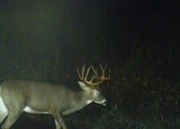 Late september trail camera pic