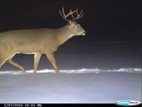 2009 trail cam picture of the Split G-3