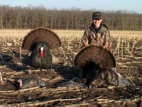 Picked Cornfield where we set up along with the DSD Full Strut Tom Decoy